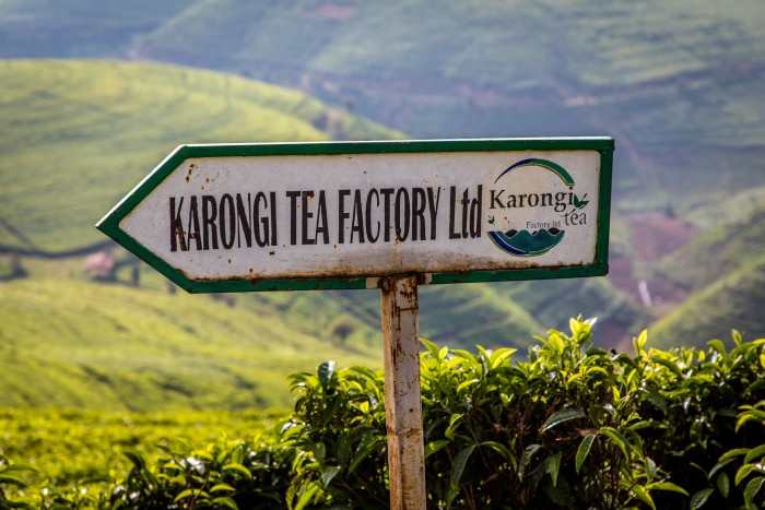 Road sign to the Karongi Tea factory